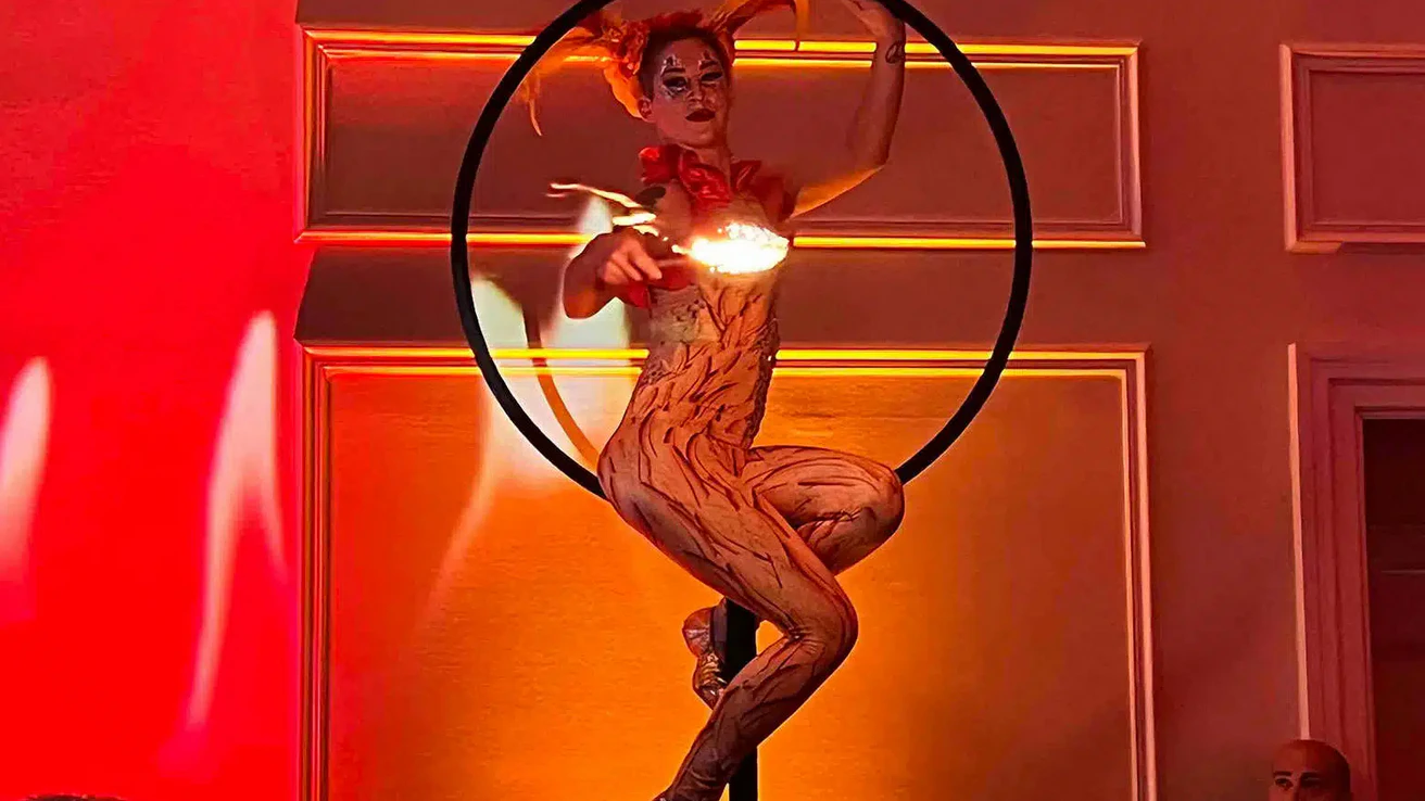 Aerial performer entertaining guests during a wedding reception.